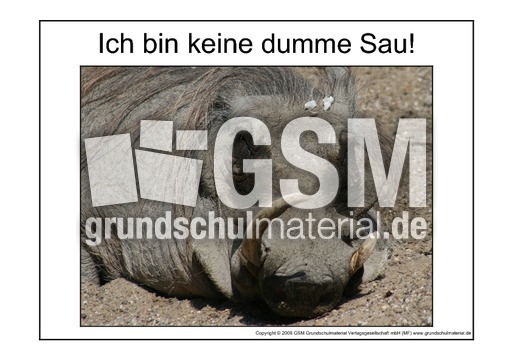 Dumme-Sau-2.pdf